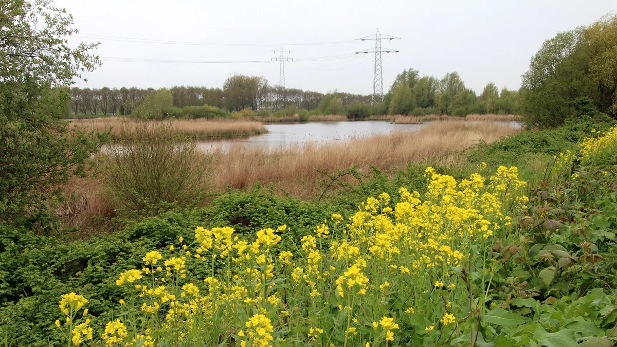 Diemerpark in Netherlands