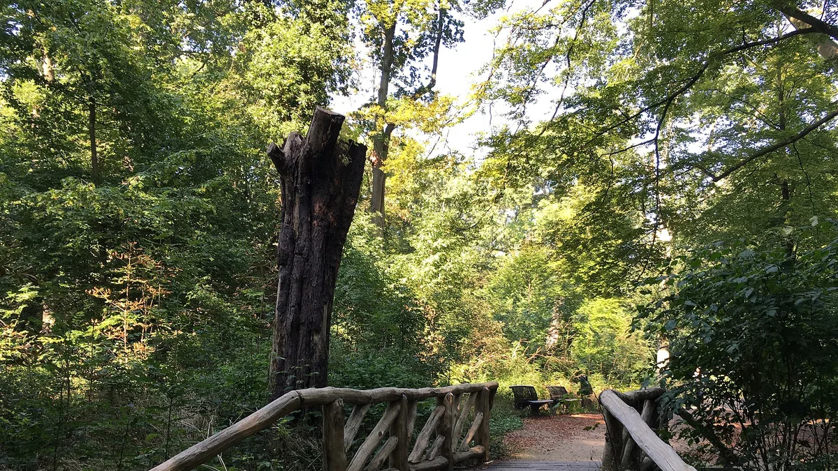 Alkmaarderhout in Netherlands