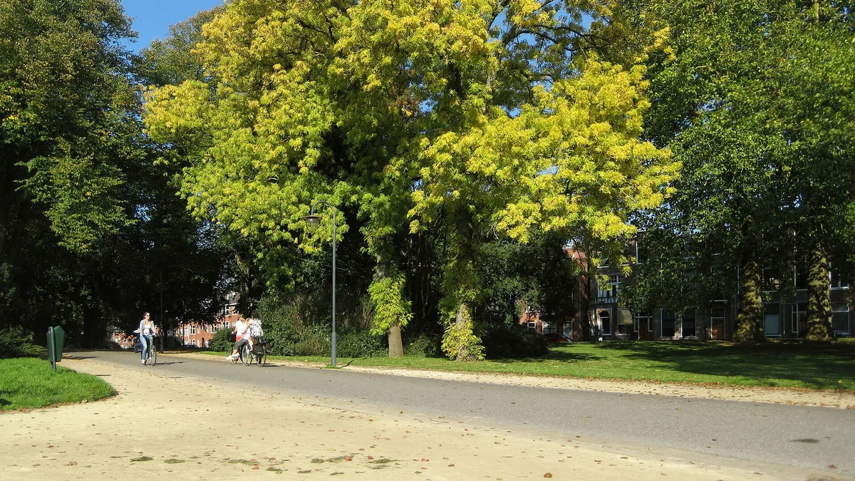 Noorderplantsoen in Netherlands