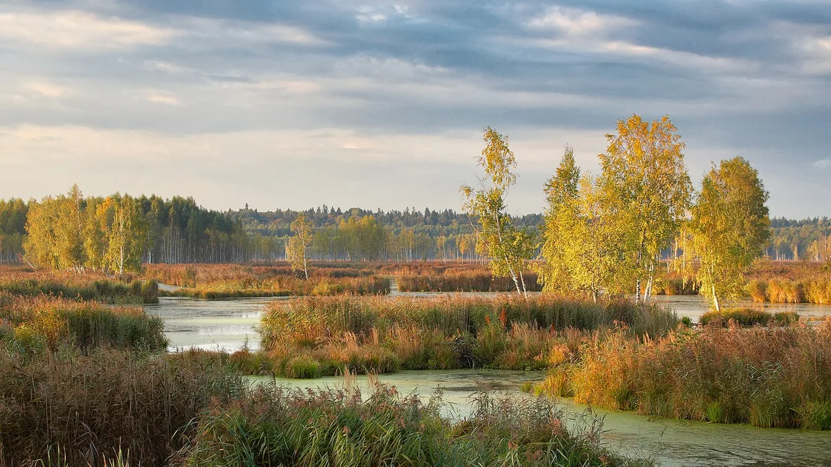 Losiny Ostrov National Park in Russia