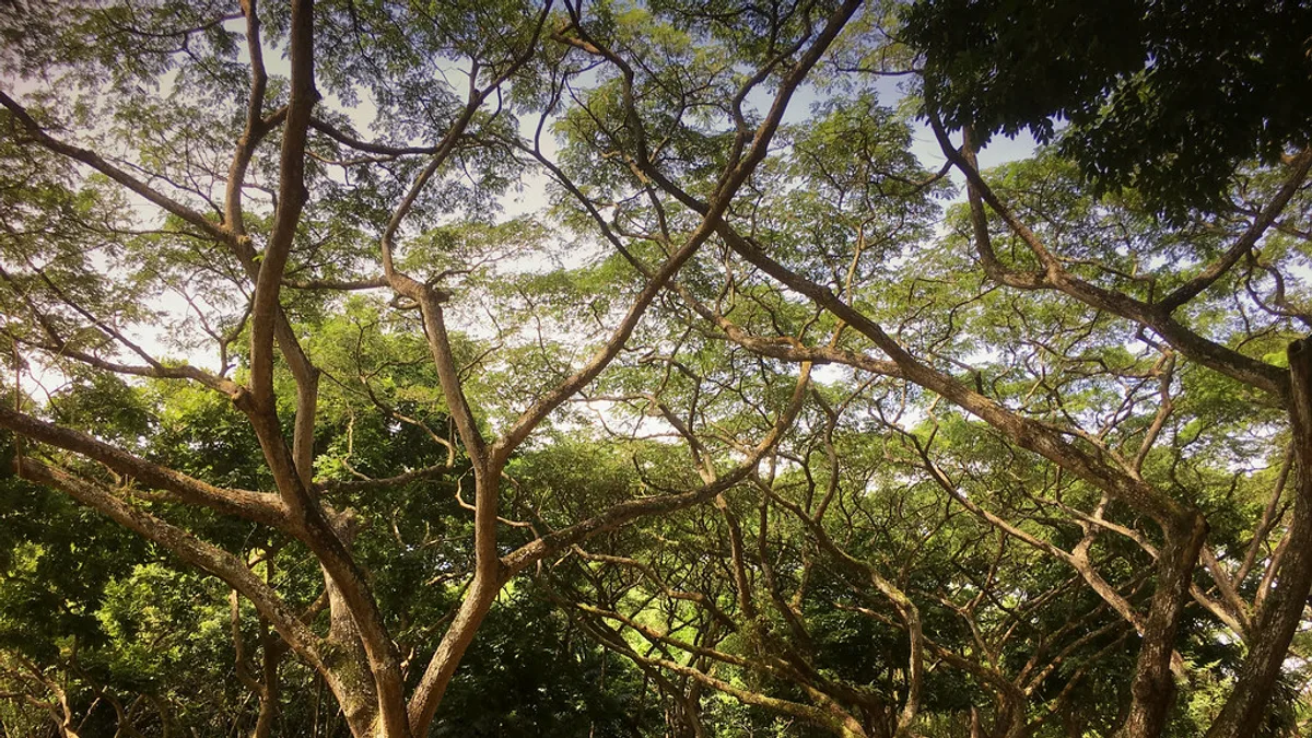 Pasir Ris Park in Singapore