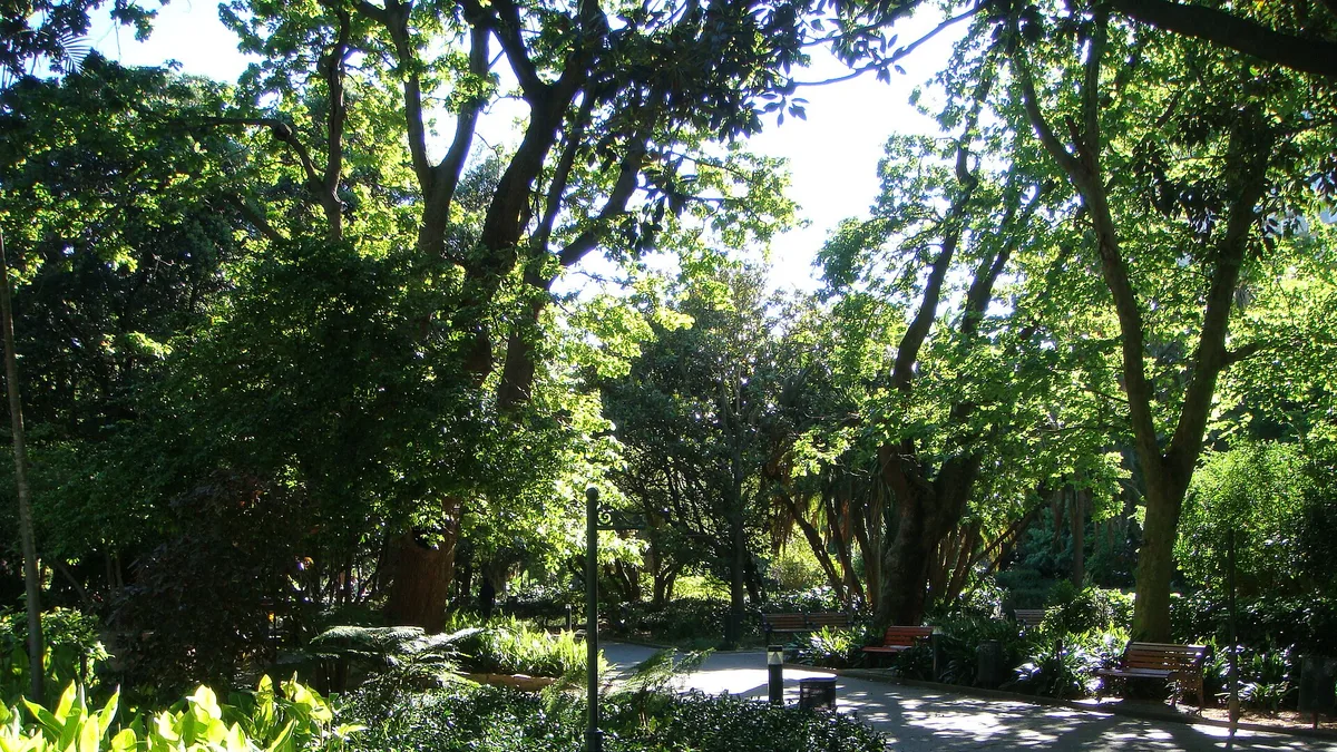 The Company's Garden in South Africa