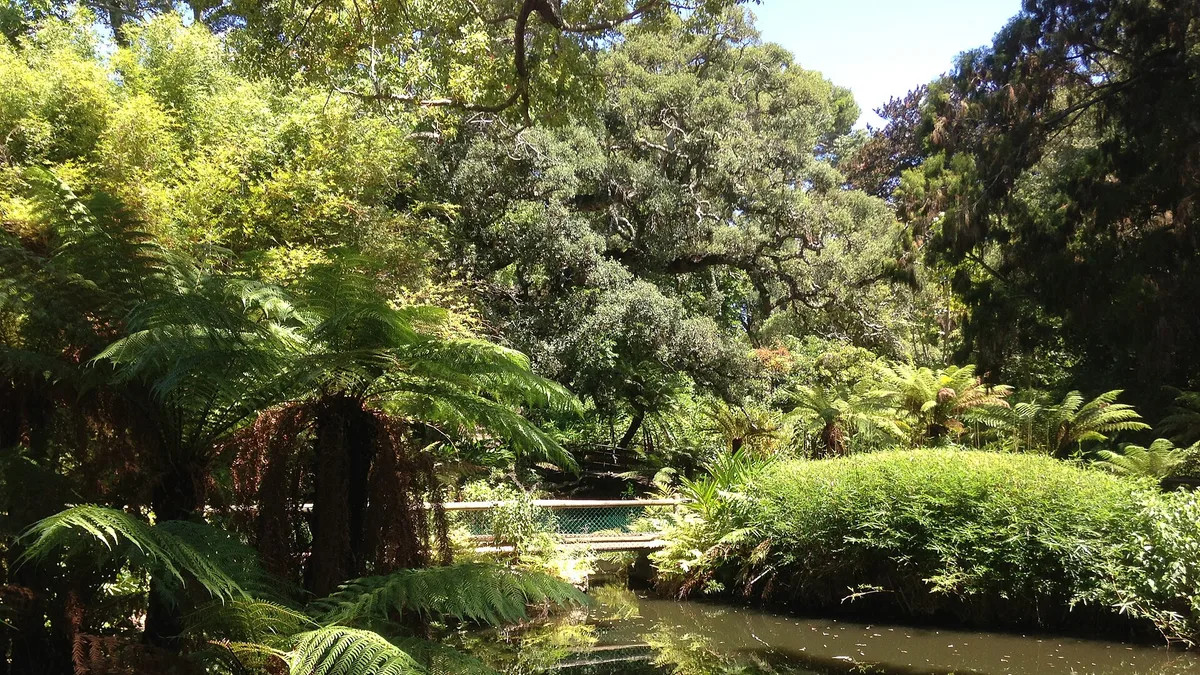 Arderne Gardens in South Africa