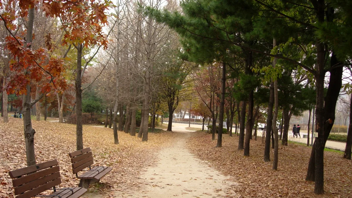 Seoul Forest in South Korea