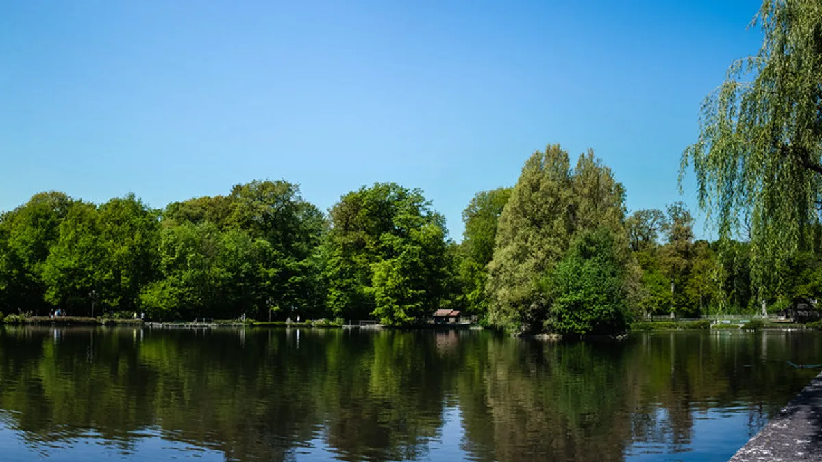 Bois de Sauvabelin in Switzerland