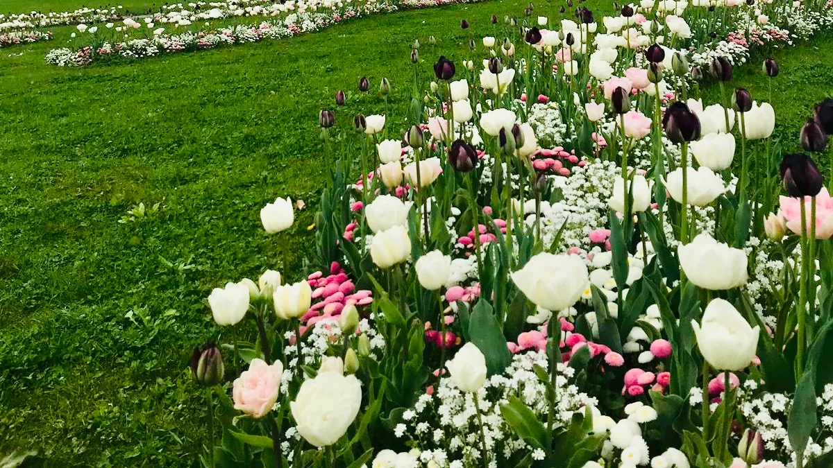 Parc La Grange in Switzerland