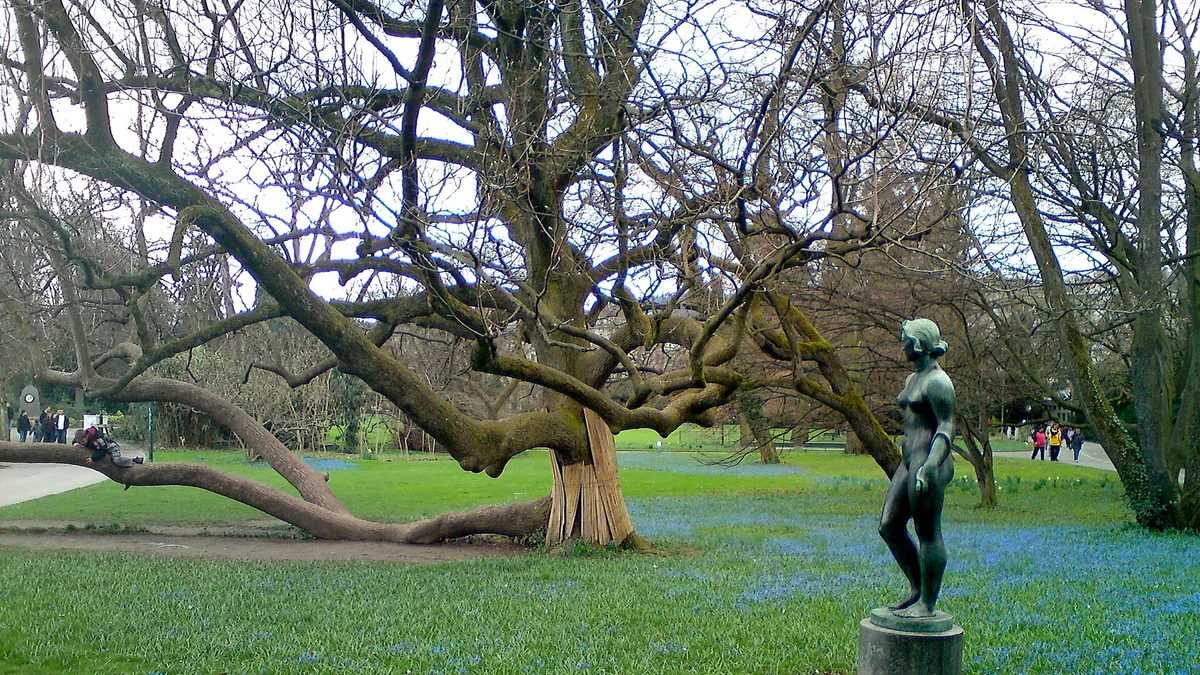 Arboretum Zürich in Switzerland