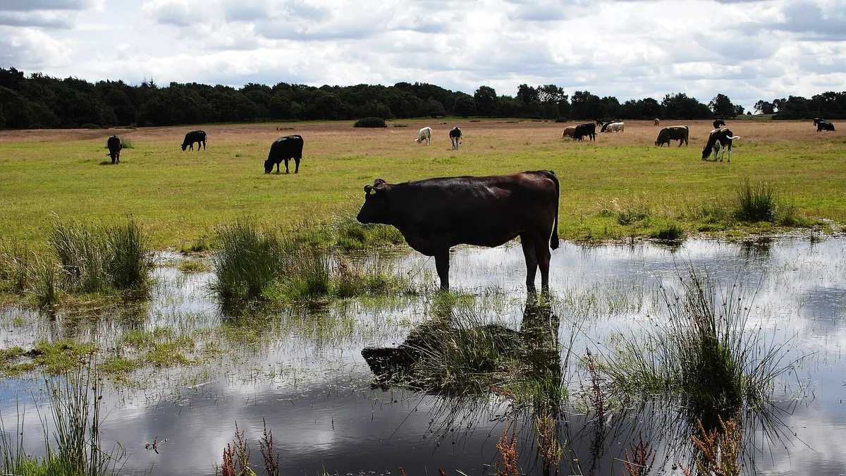Sutton Park in United Kingdom