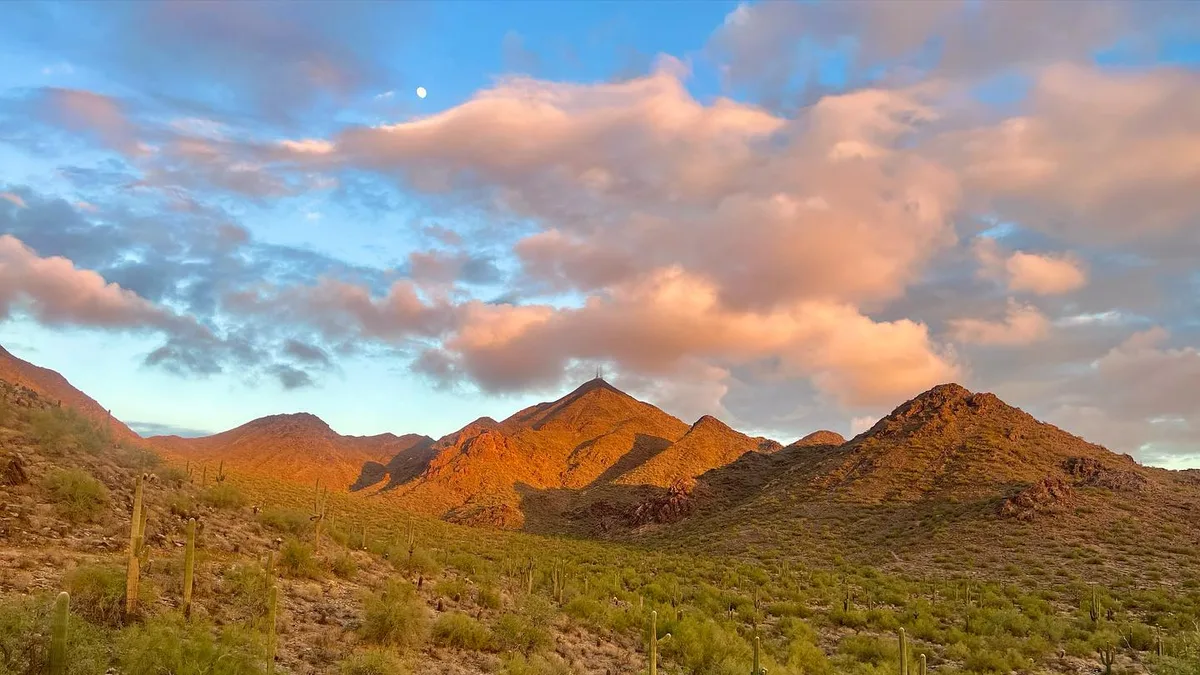 McDowell Sonoran Preserve in United States