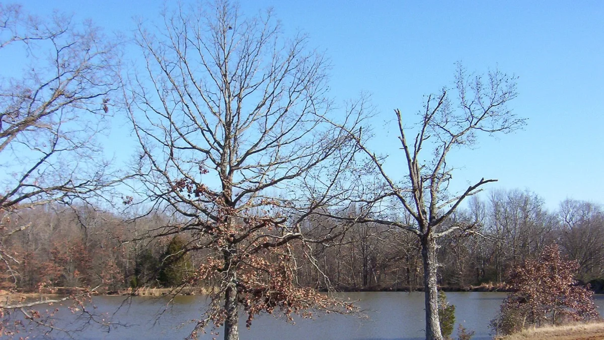 Shelby Farms Park in United States