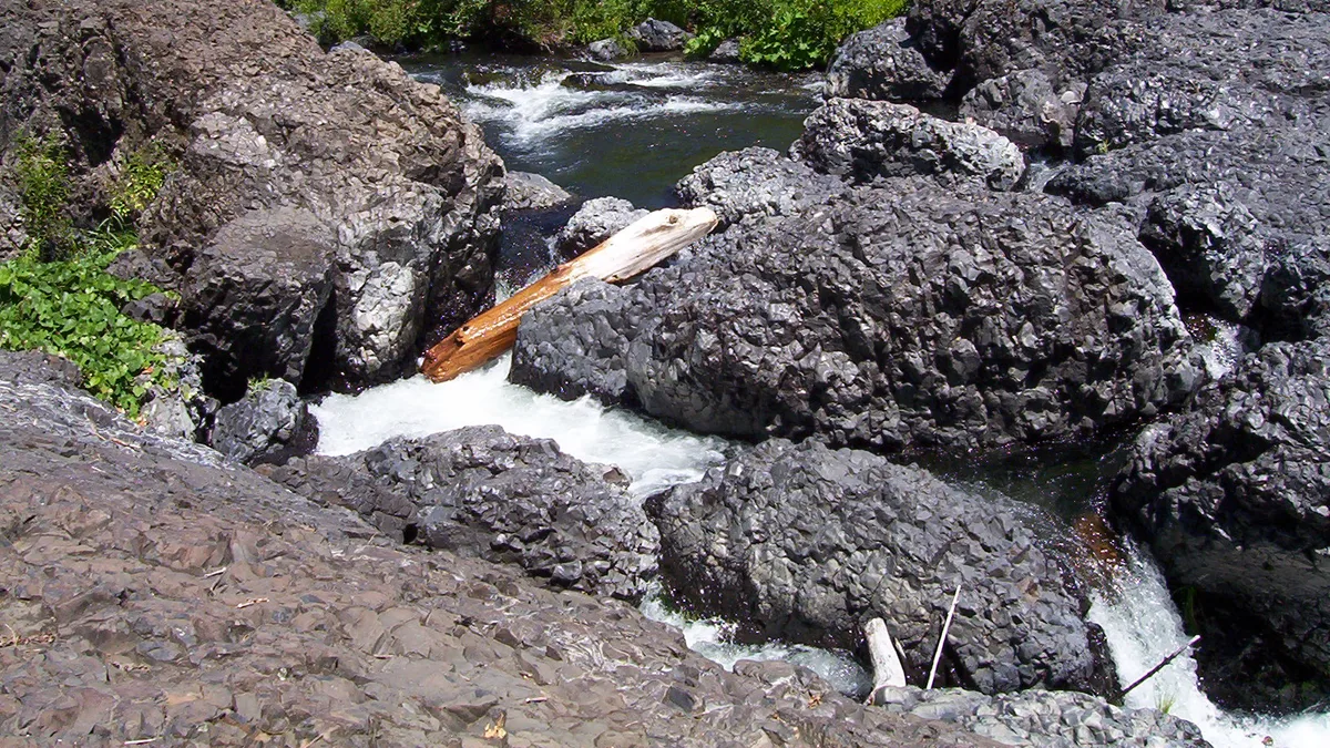 Bidwell Park in United States