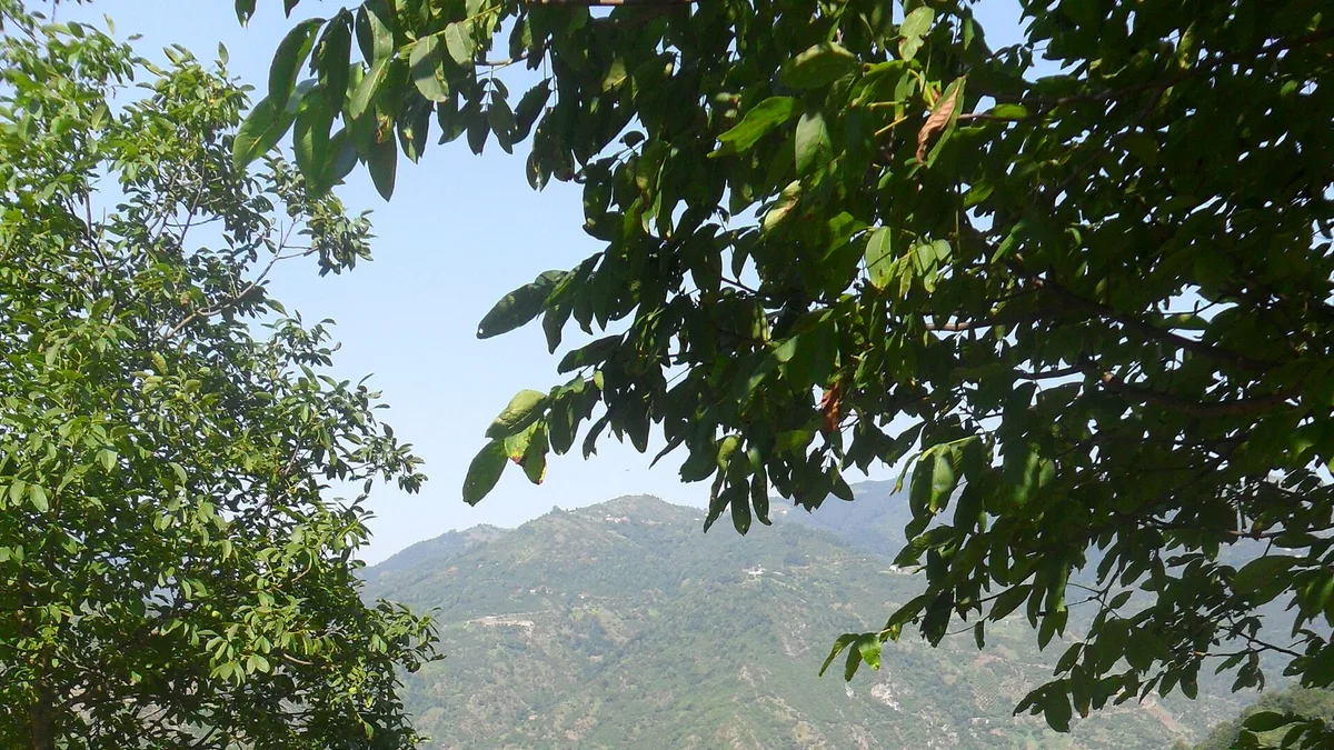 Almus Dam in Turkey