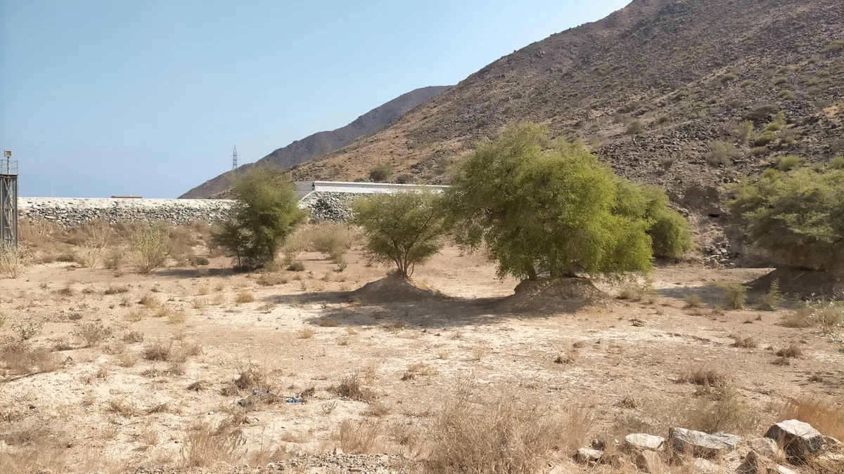 Wadi Sharm Dam in United Arab Emirates