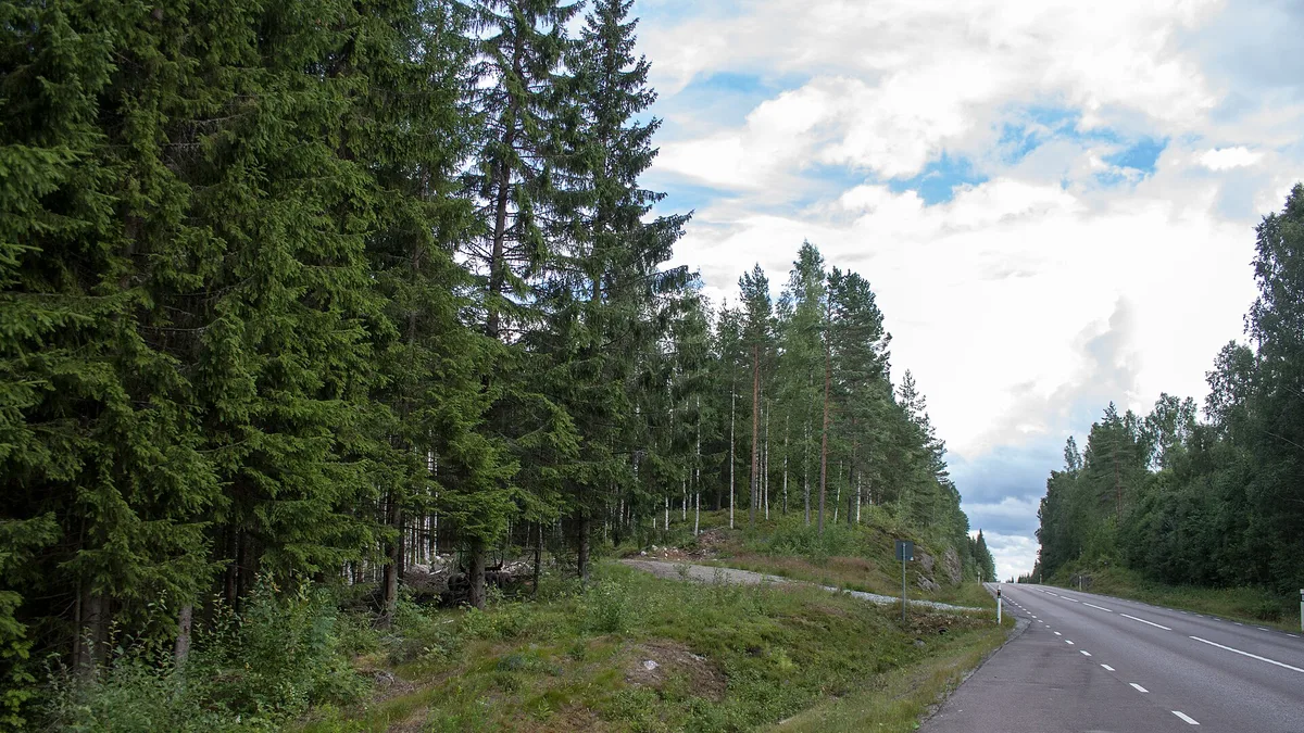 E45 in Sweden