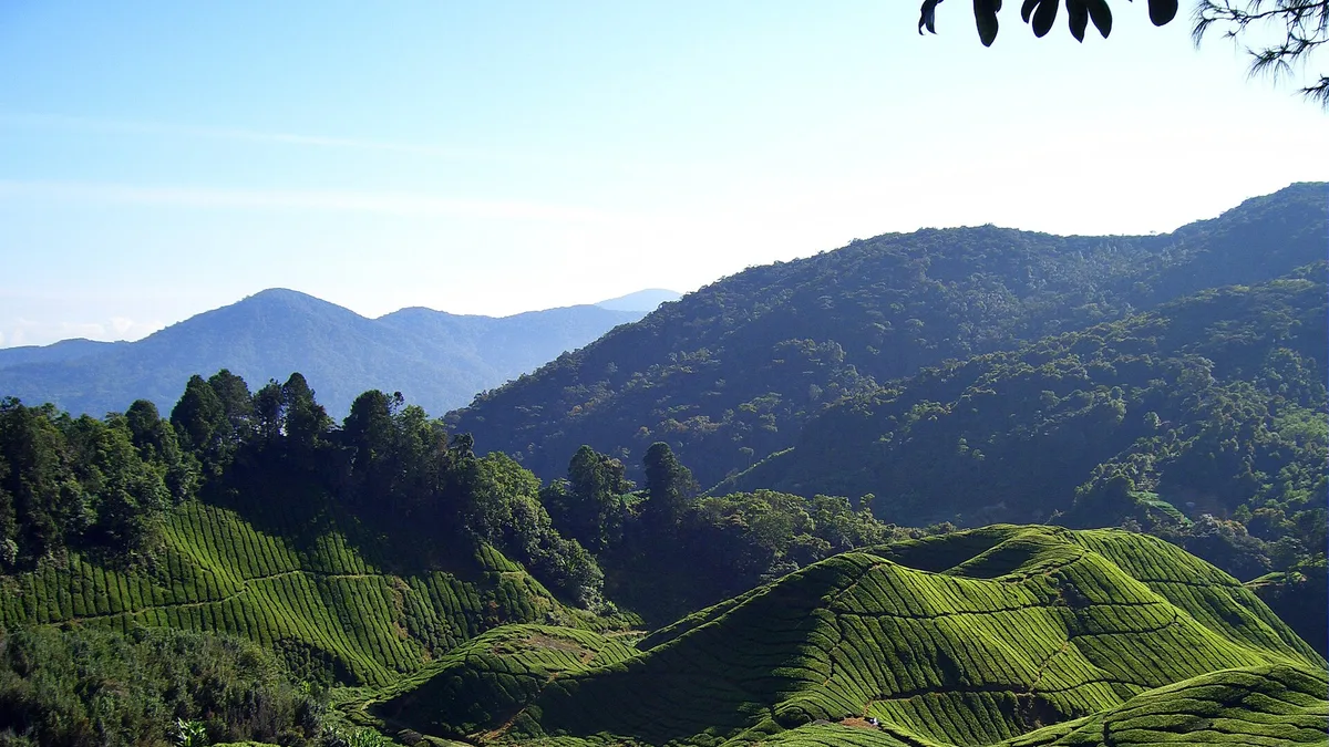 Cameron Highlands Resort in Malaysia