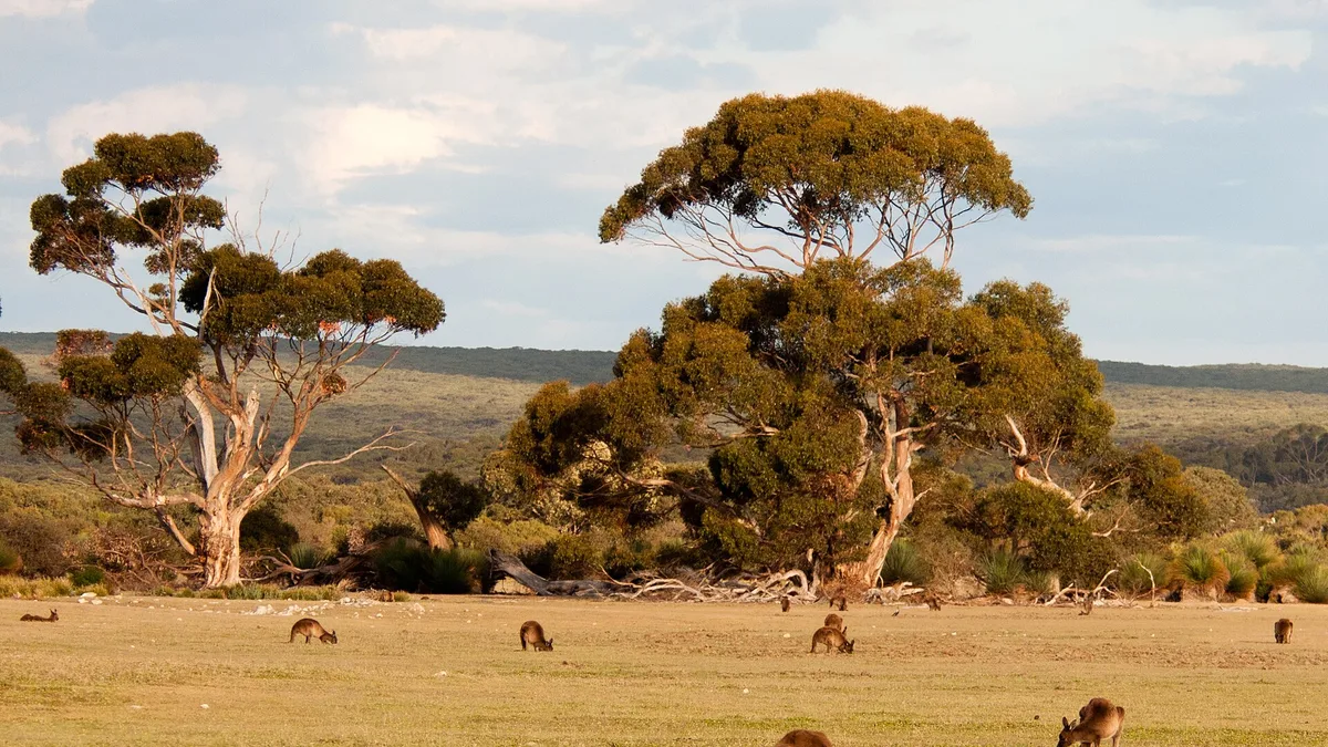 Kangaroo Island in Australia