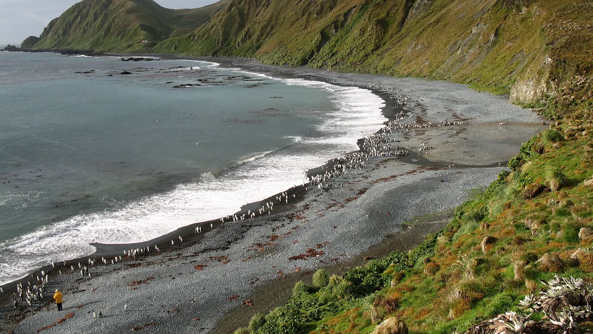 Macquarie Island in Australia