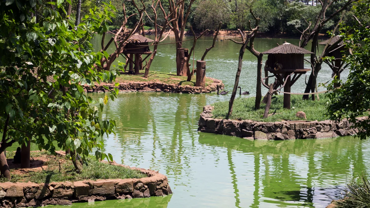 Ilha dos Macacos in Brazil