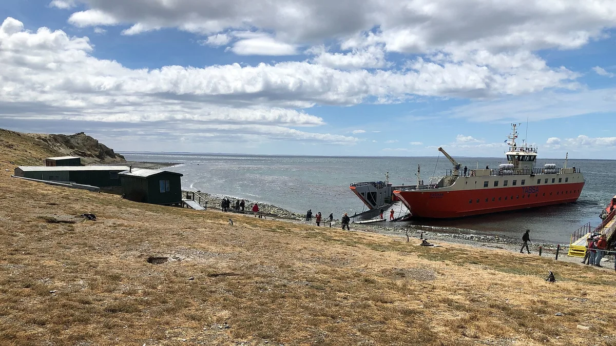 Magdalena Island in Chile