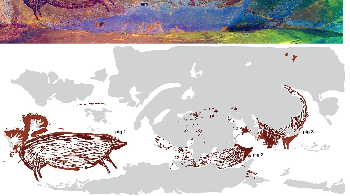 Sulawesi in Indonesia