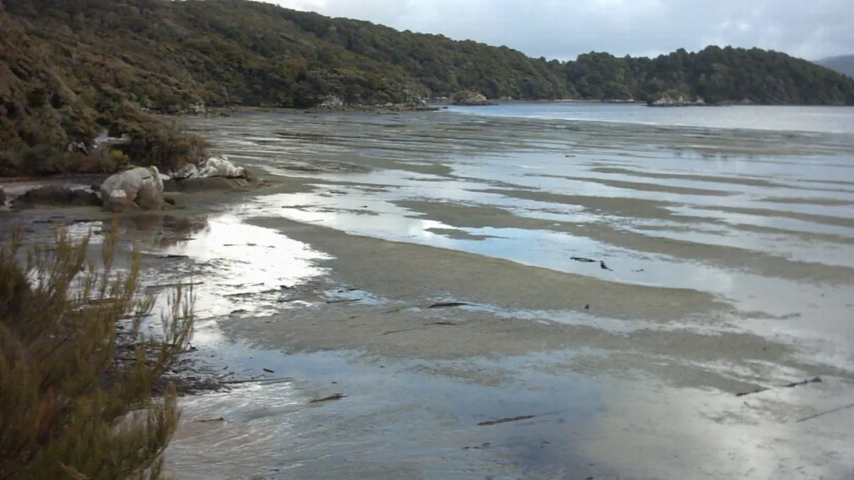 Stewart Island / Rakiura in New Zealand