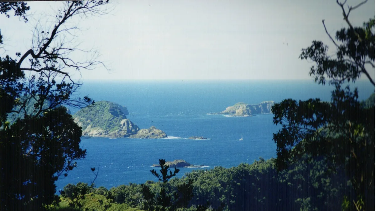 Nugent Island in New Zealand