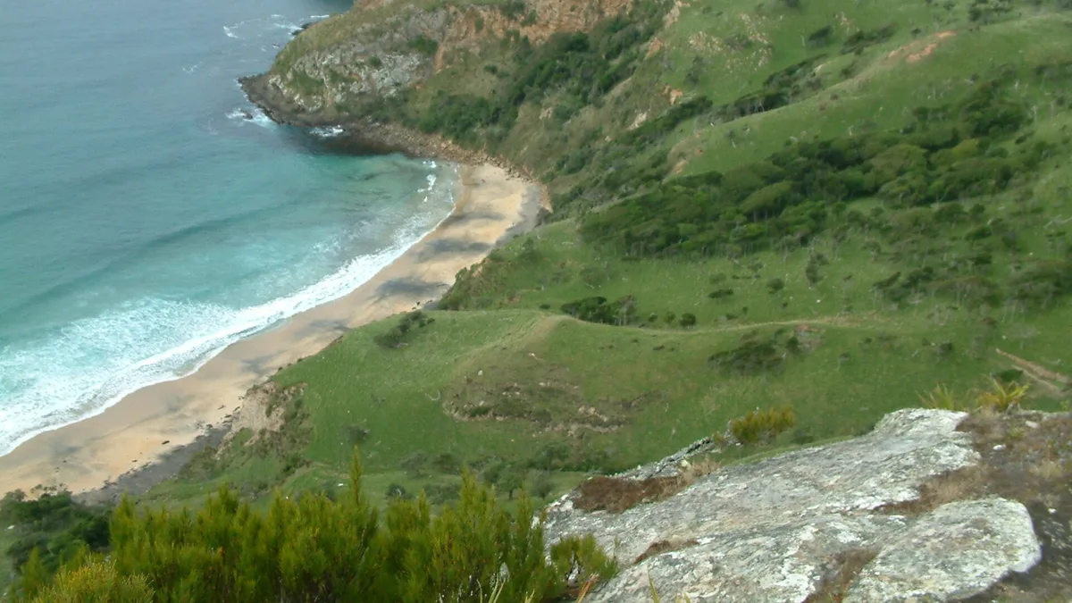 Pitt Island (Rangiauria) in New Zealand