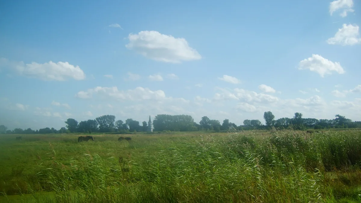 Karsiborska Kępa in Poland