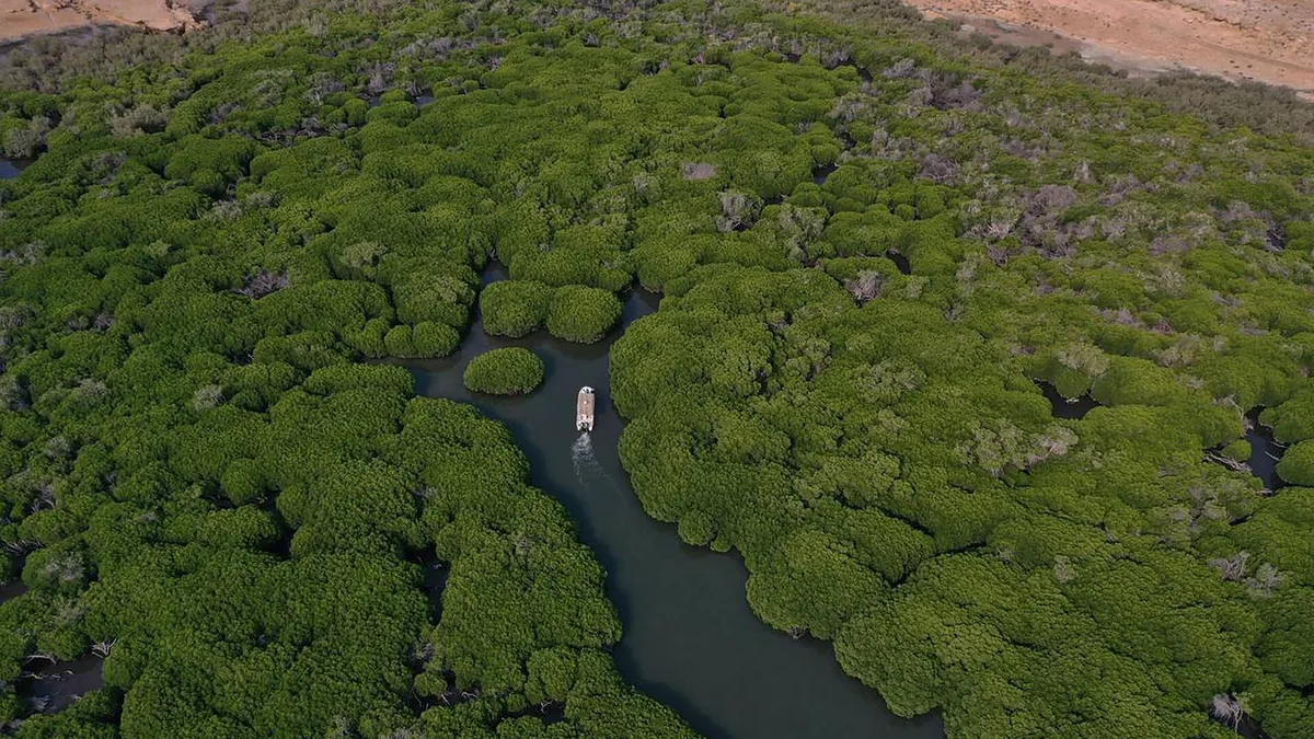 Farasan Island in Saudi Arabia