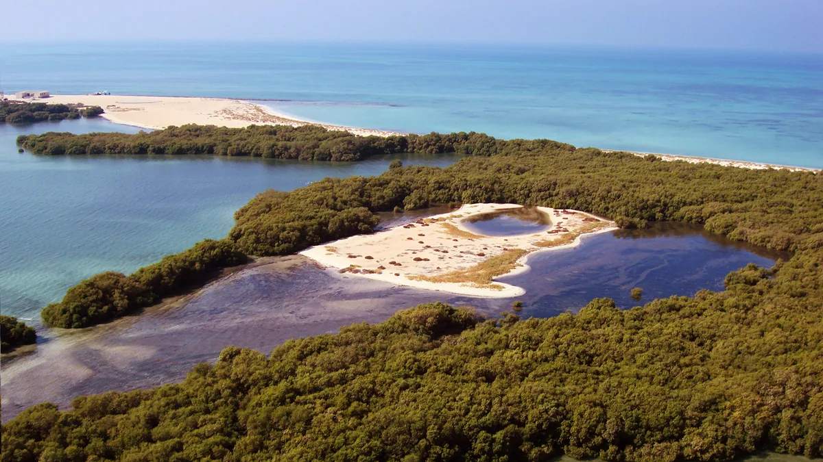 Bu Tinah Island in United Arab Emirates