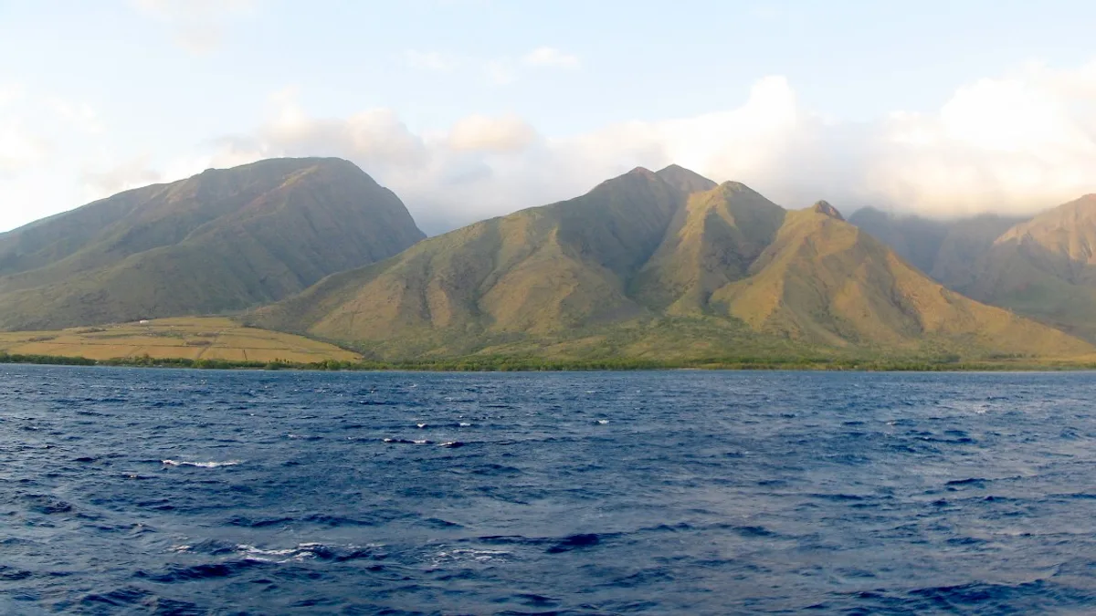 Maui in United States