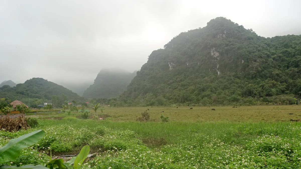 Cát Hải Island in Vietnam