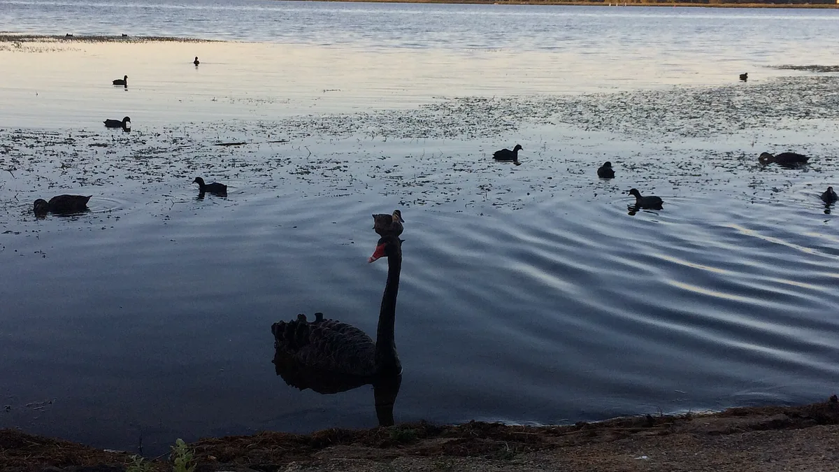 Lake Wendouree in Australia