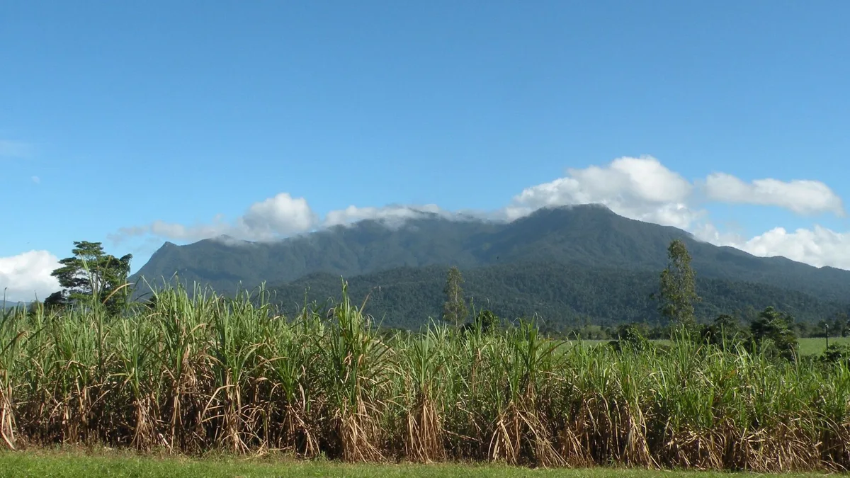Mount Bartle Frere in Australia