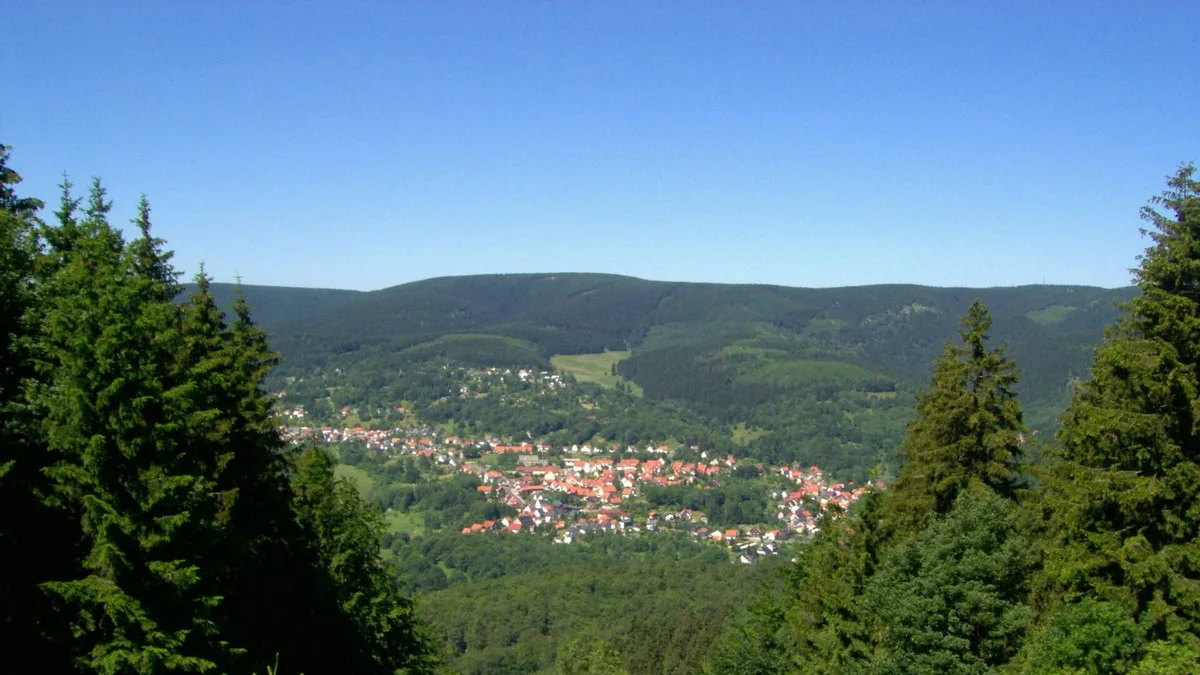 Großer Beerberg in Germany