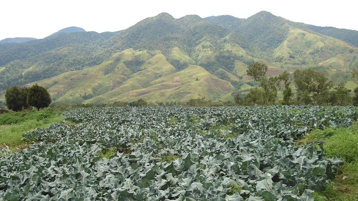 Mount Kalatungan in Philippines