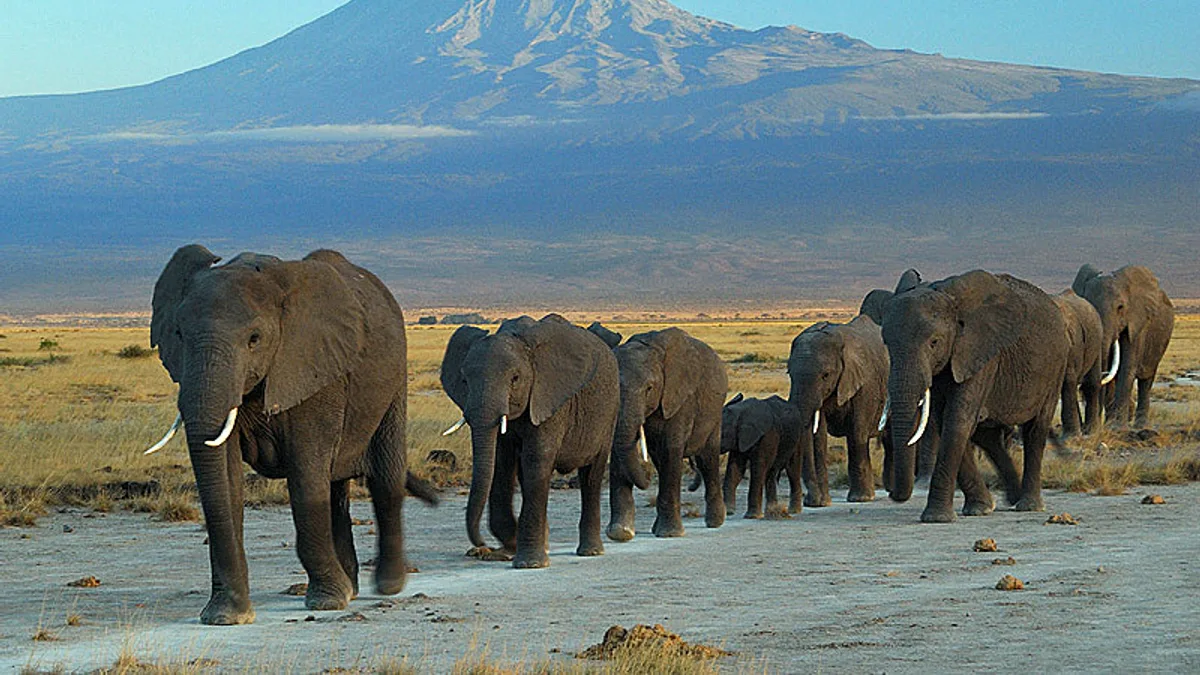 Mount Kilimanjaro in Tanzania
