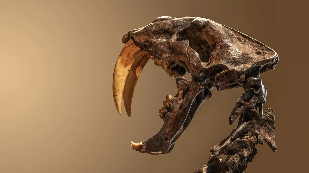 Museu de Zoologia da Universidade de São Paulo in Brazil