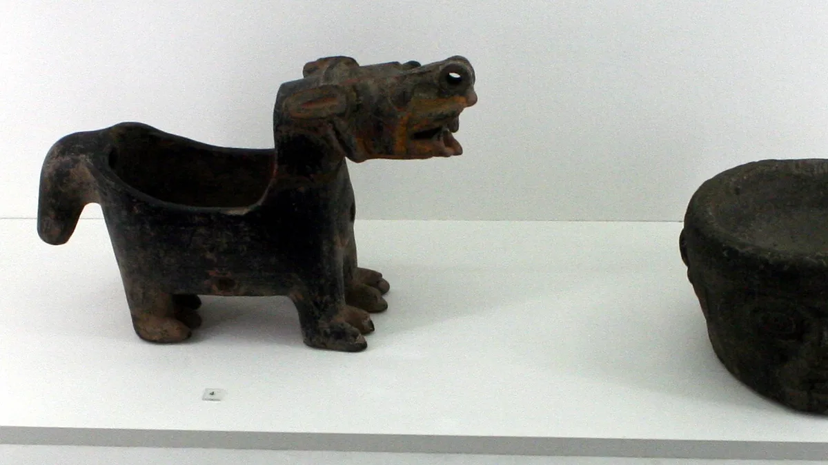 Ethnologisches Museum in Germany