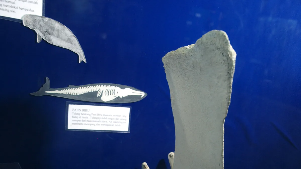 Museum Zoologicum Bogoriense in Indonesia