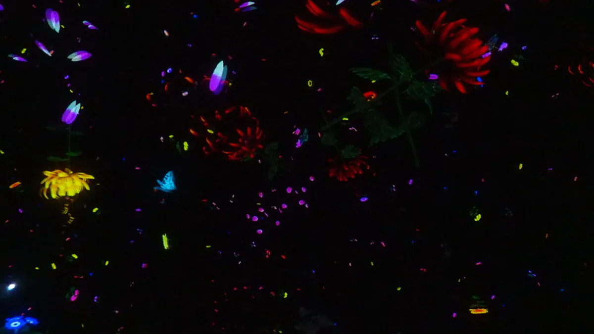 teamLab Planets Tokyo in Japan