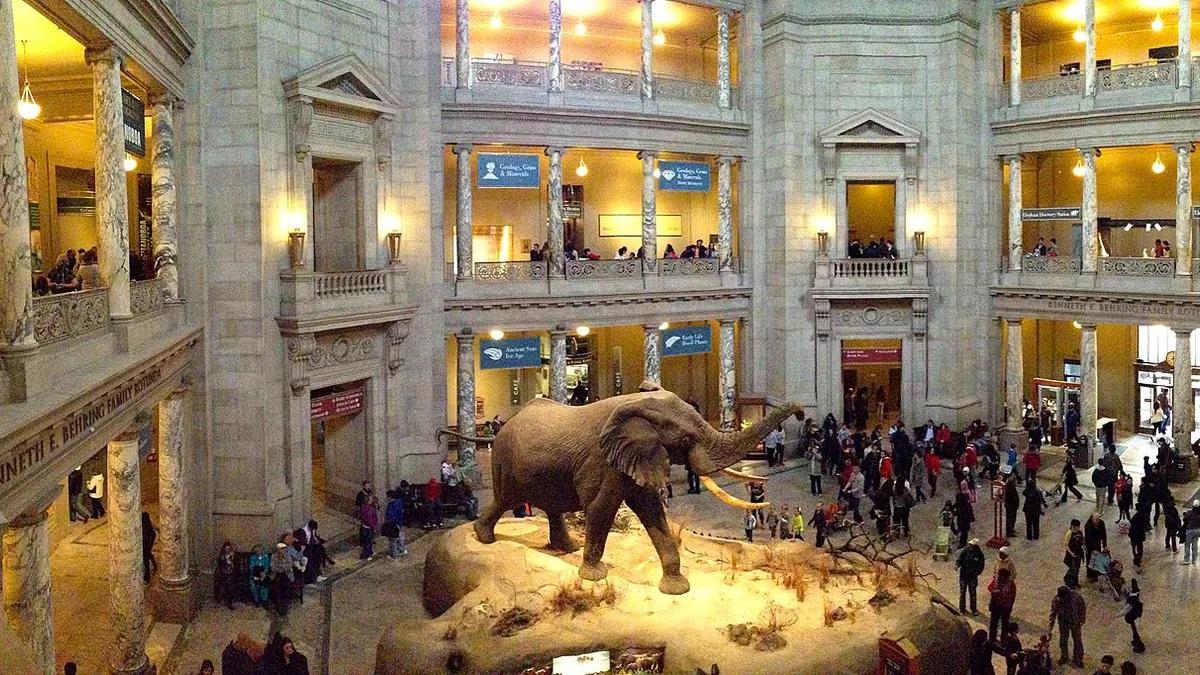 Smithsonian National Museum of Natural History in United States