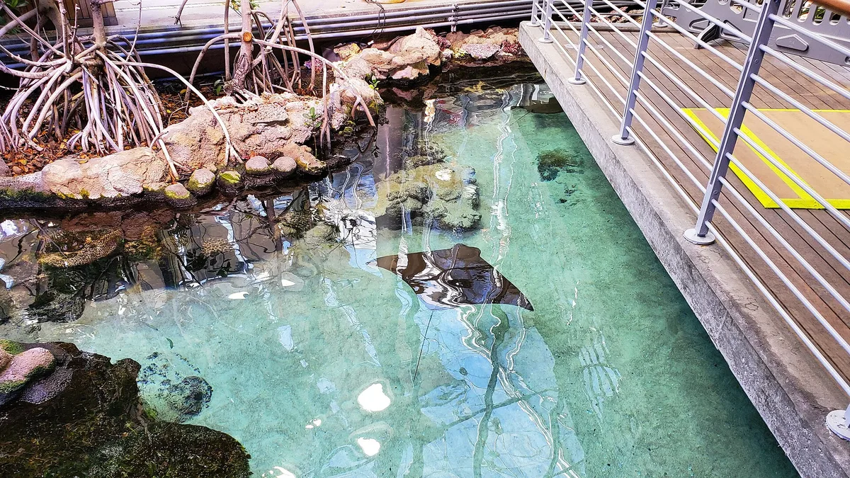 California Academy of Sciences in United States