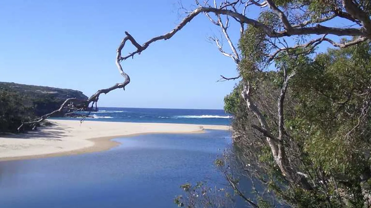 Royal National Park in Australia