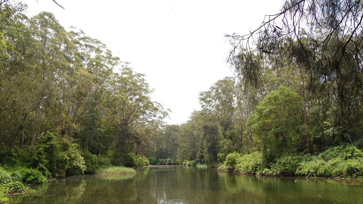 Lane Cove National Park in Australia