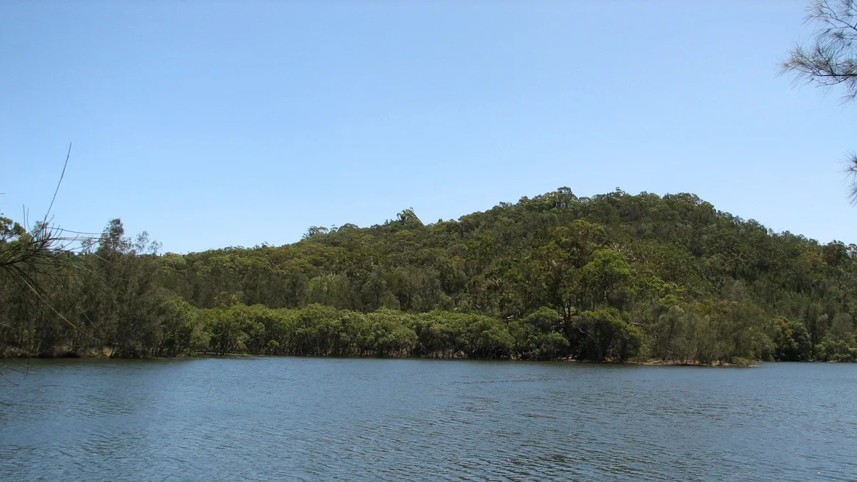 Garigal National Park in Australia