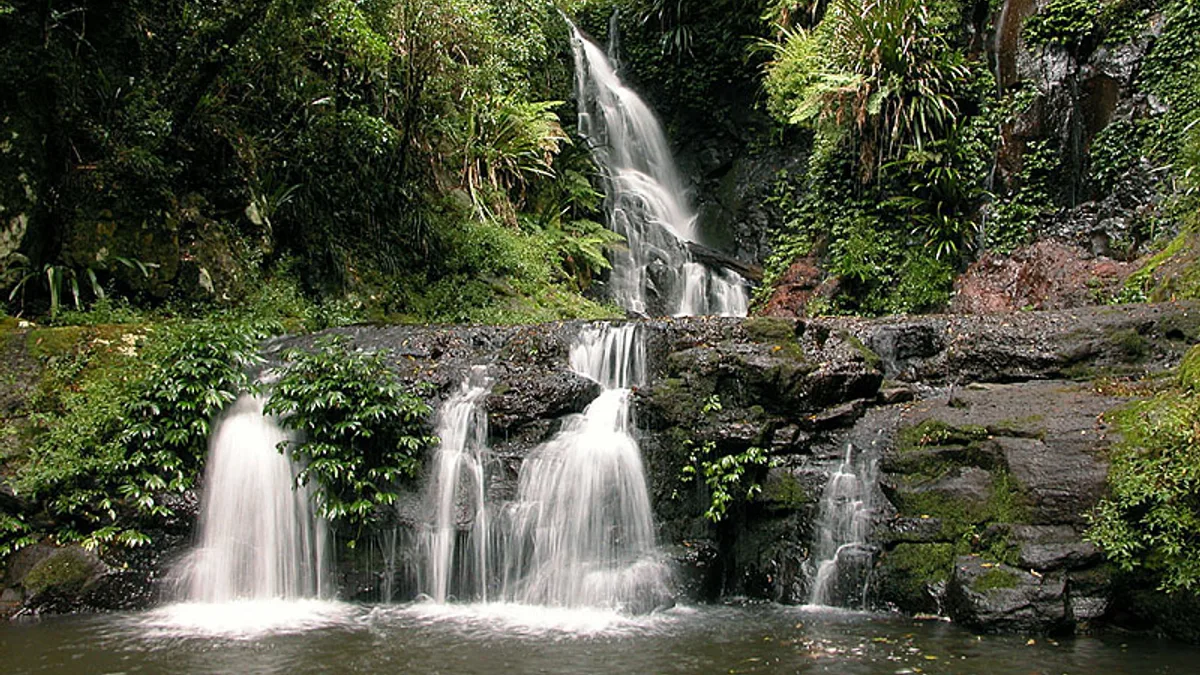 Lamington National Park in Australia