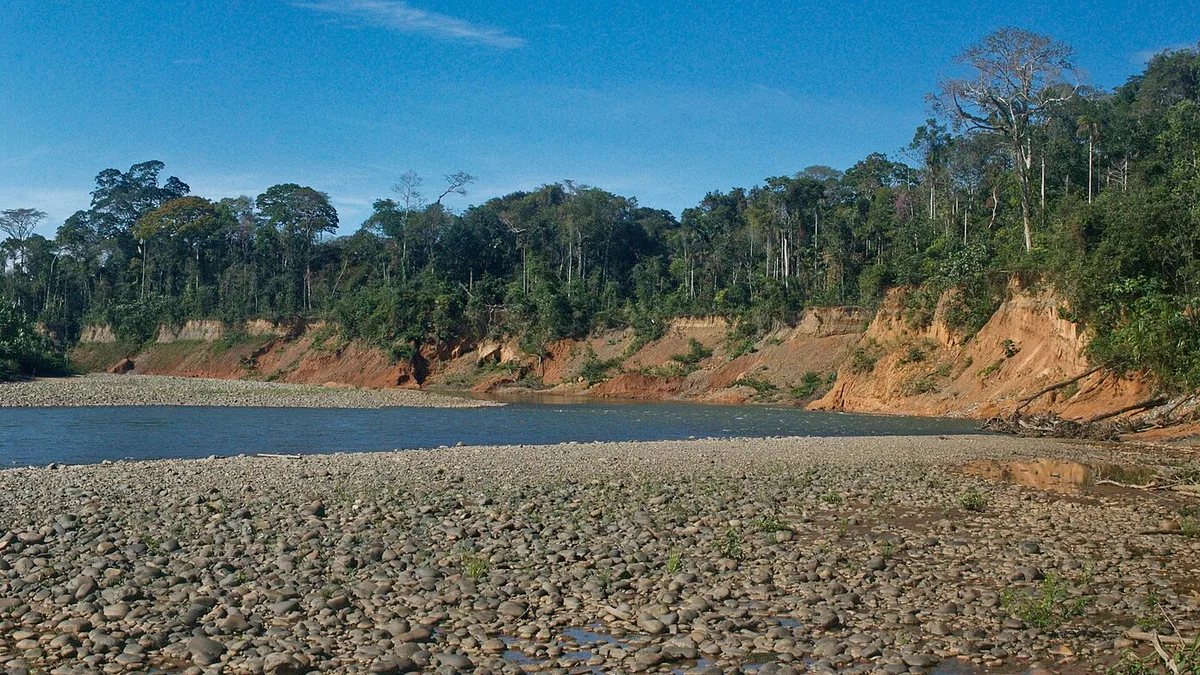Madidi National Park in Bolivia