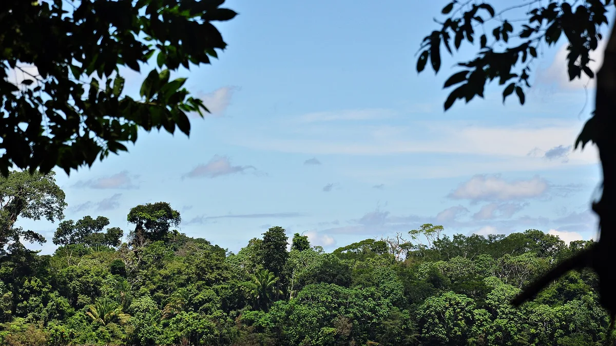 Mapinguari National Park in Brazil