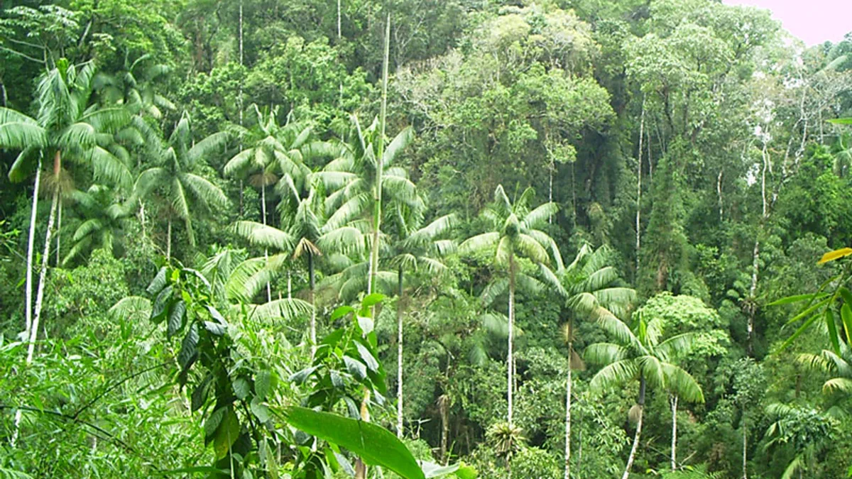 Itatiaia National Park in Brazil